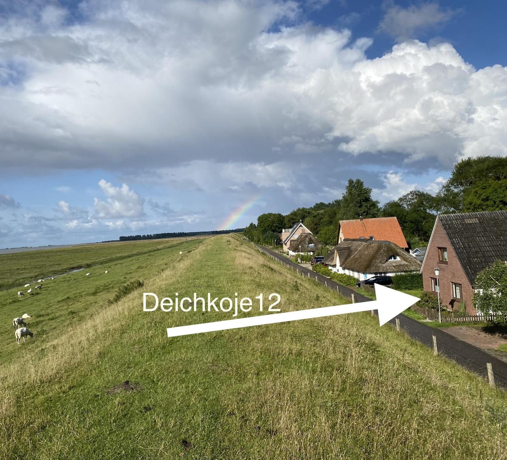 Deichkoje12 Direkt Am Eiderdeich Nur 7 Km Bis Zur Nordsee Und 20 Min Bis Sankt Peter Ording Toenning Exterior photo